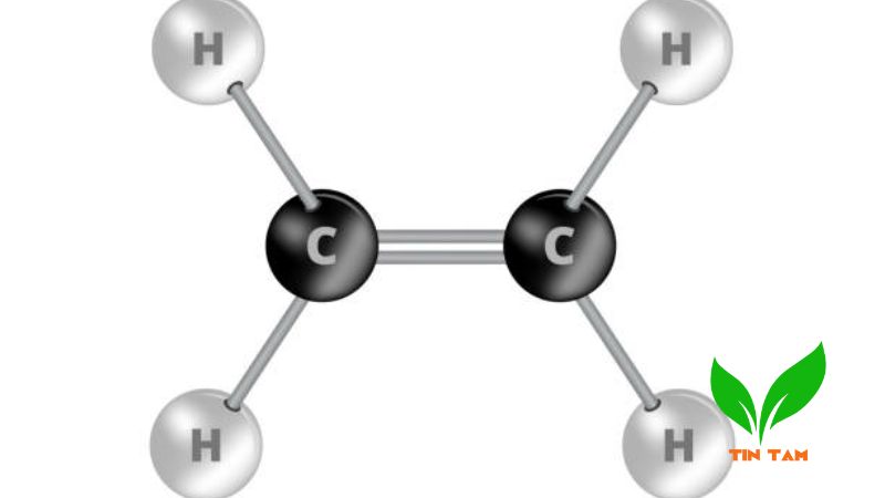 Ethylene là gì Ethylene là gì