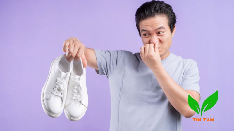 cách hút ẩm trong giày